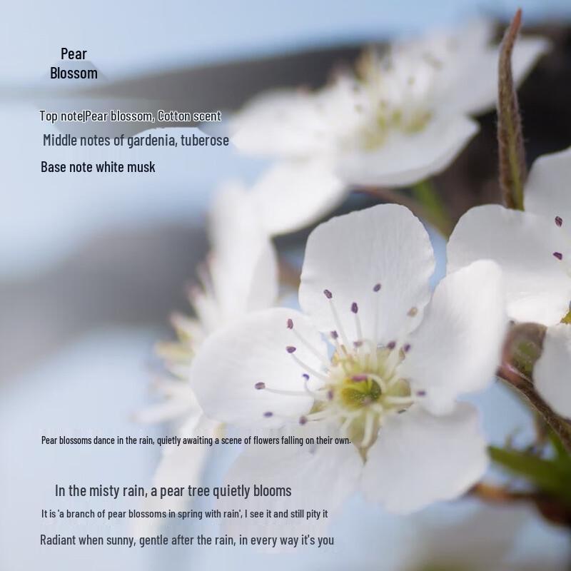 Tesori d'Oriente Repair Duft Haarspülung