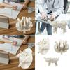 Human Skeleton Anatomical Model Temporal Bone Model Teaching Aid Human Ethmoid Bone Model for Science Class