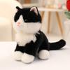 Cute simulated sitting kitten doll plush toy white cat cow cat doll girl rag doll