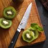 4 Inch Paring Knife With Wood Cover 3-layers Clad Steel AUS-10 Blade G10 Handle Cleaver Steak Utility Barbecue Kitchen Knives