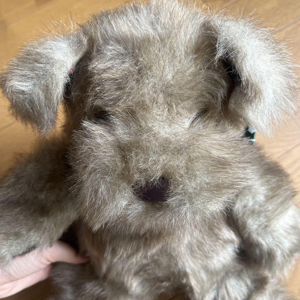 [USED] Brown Teddy Bear Plush Toy