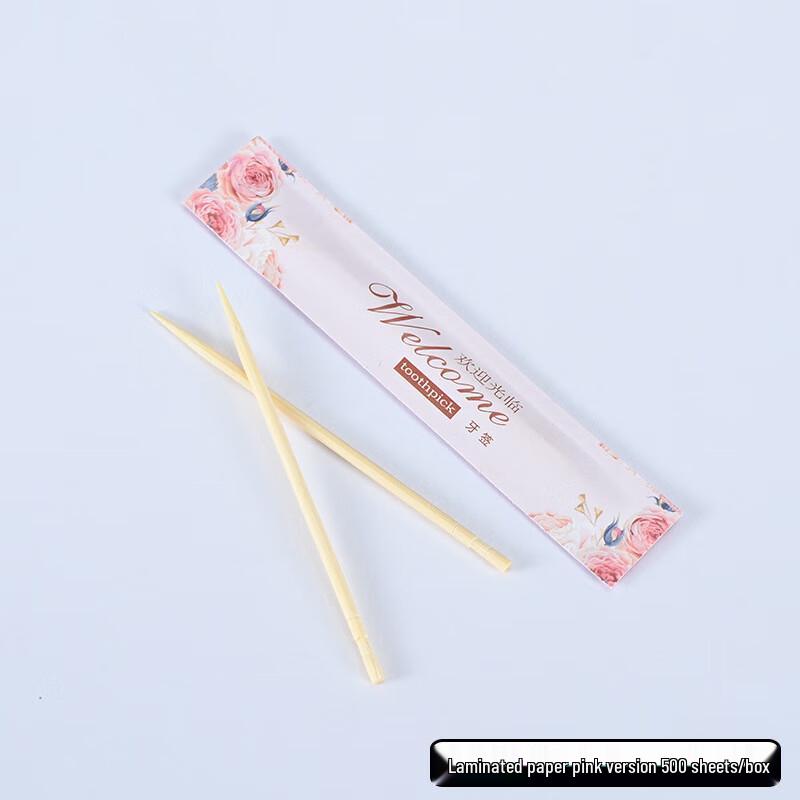 Nuoxian Individually Packaged Disposable Toothpicks 500 Count