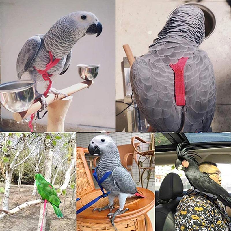 1Pcs Adjustable Parrot Training Harness Anti-Bite Flying Traction Rope Sturdy Strap for Outdoor Walking Flight