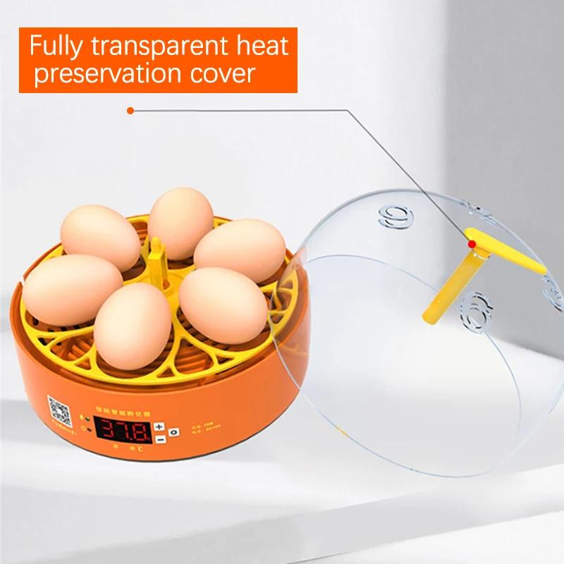 6 Egg Incubator Automatic Turning Temperature Control Breeding Hatchery Chicken Quail Duck Birds Mini Brooder Incubation Device