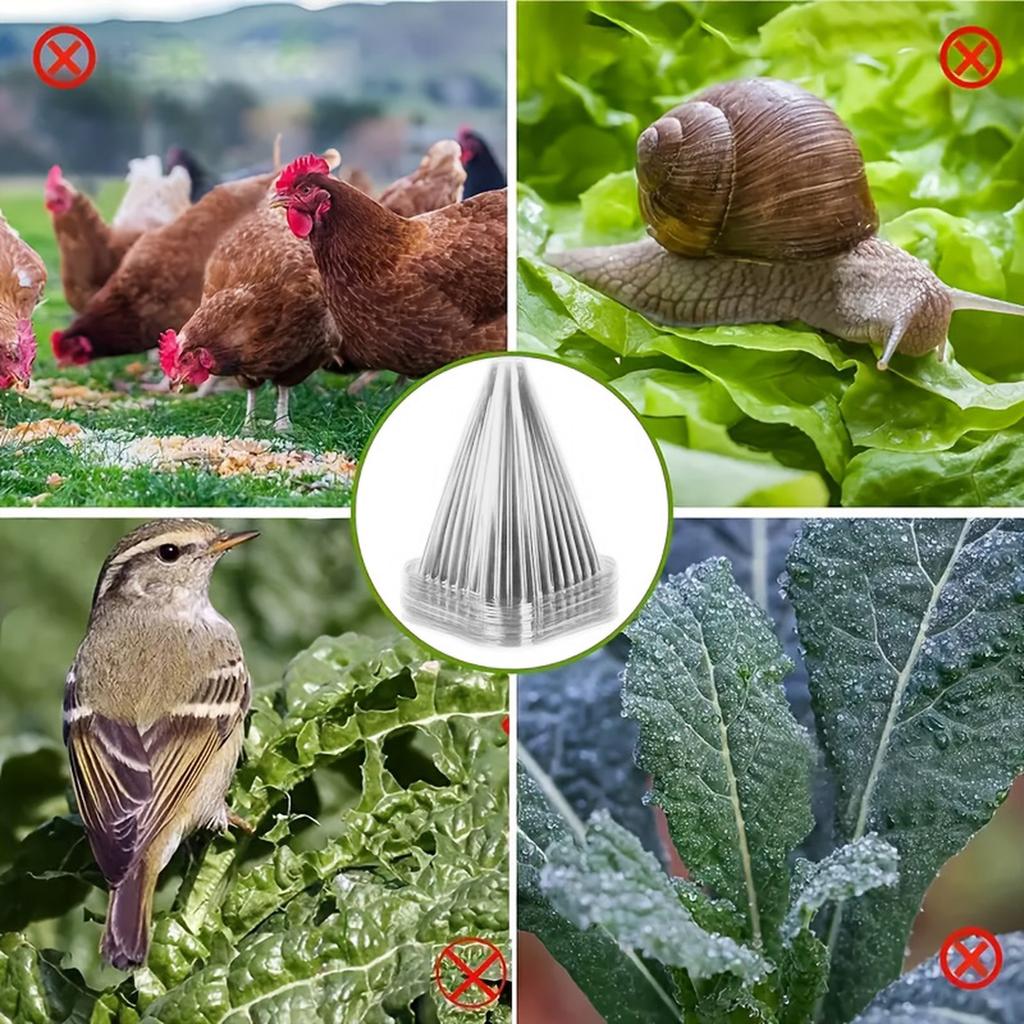 20pcs Set Of Transparent Plastic Plant Covers - Reusable Greenhouses For Frost