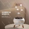 Jellyfish Projection Humidifier Aromatherapy Diffuser,Voice-Controlled Mist Mode with Ambient Light,Desktop Decorative Fragrance