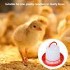 4Pack Chick Feeders With 2 Automatic Waterers Spill Proof Design 4 Feeders For Small Bird Quail Ducks Coops Accessories