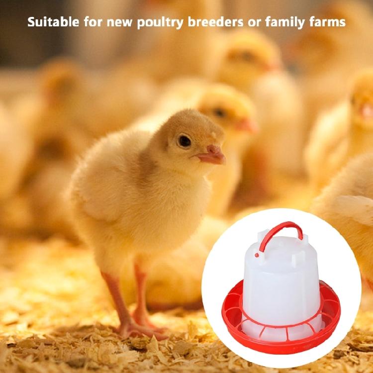 4Pack Chick Feeders With 2 Automatic Waterers Spill Proof Design 4 Feeders For Small Bird Quail Ducks Coops Accessories