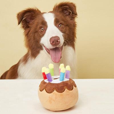 Perros – Juguetes para perros
