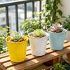 Flowerpot Candy Colored Iron Flower Pot Small with Handle Iron Bucket Plants Pen Holder for Home Garden Office