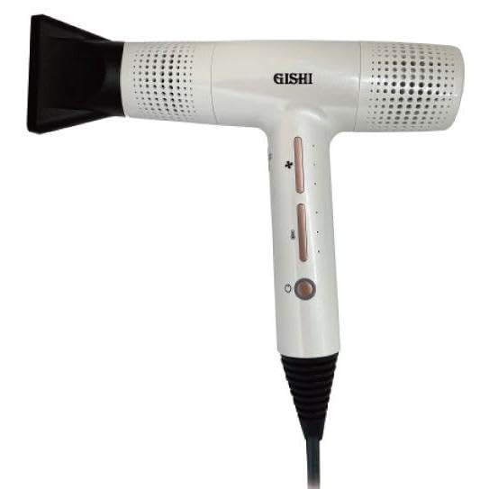 

Цифровая сушилка GISHI 1200W