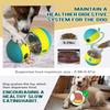 Dog Toy Pet Interactive Leaky Food Ball Slowly Feeding Protects Stomach Improve IQ Toys for Small Medium Big Dogs Pet Supplies
