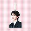 Seventeen Wen Junhui Luggage Tag & Keychain Accessories