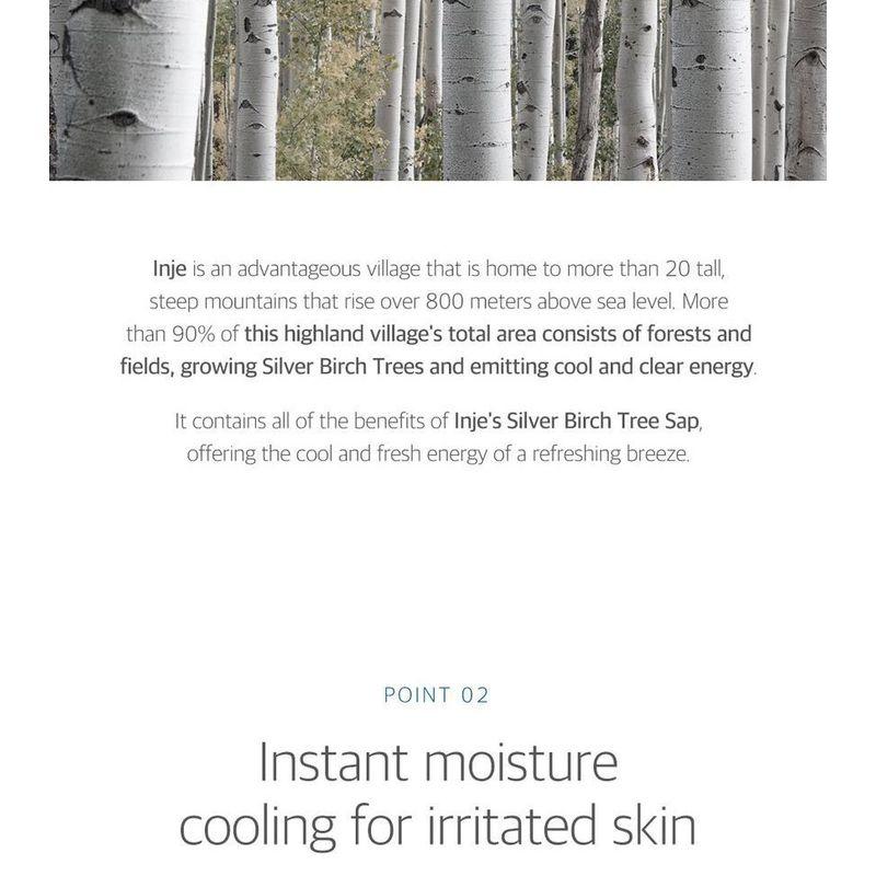 ROUND LAB - Birch Juice Moisturizing Sun Cushion