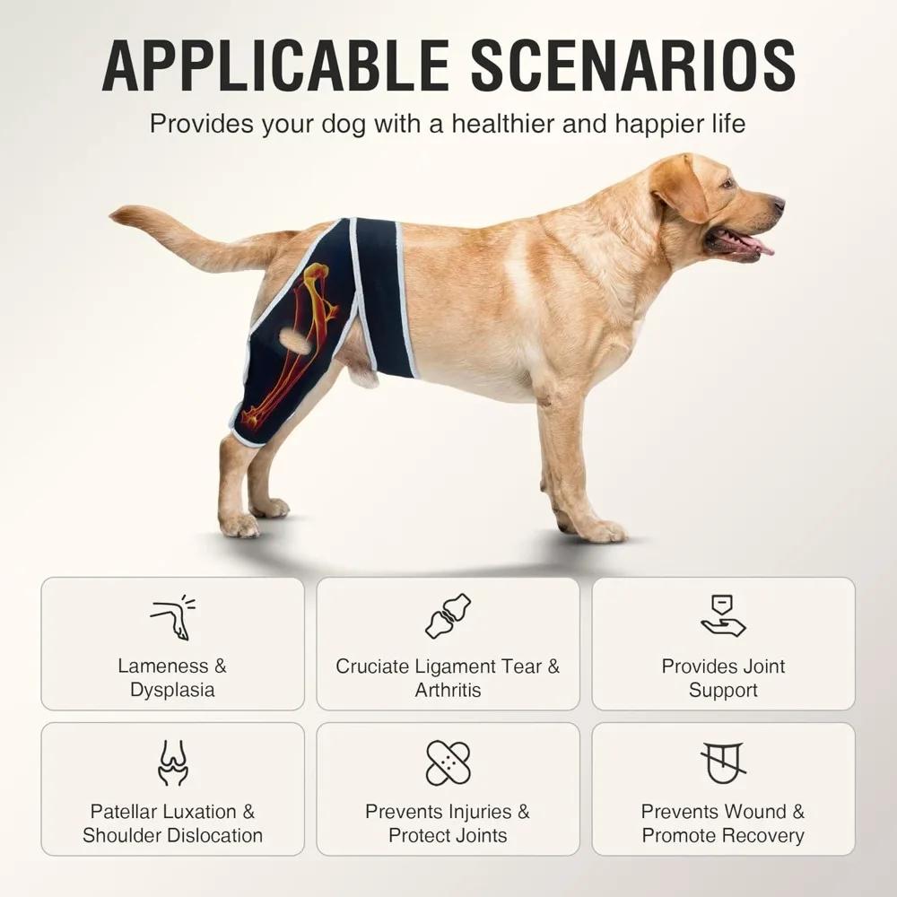 Dog Knee Brace for Torn ACL Hind Leg, Shoulder Dislocation for Older and Athletic Dogs, Front Leg Brace Support for Big Breeds