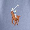 Polo Ralph Lauren Men S Iconic Oxford Shirt Mnpowov16820199400