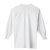 Gunze RP35102 Smooth Inner Long Made In Set of Size M To Japanese Size Men's Far-Infrared Shirts, Sleeve, U-Neck, Japan, 2, White, (equivalent M)