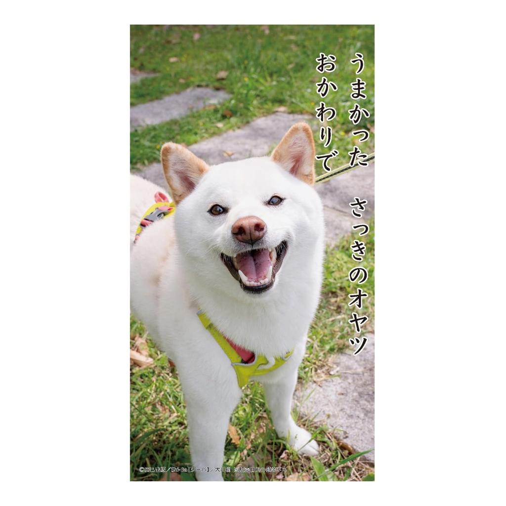 2026 Calendar Dog Senryu (Desktop)