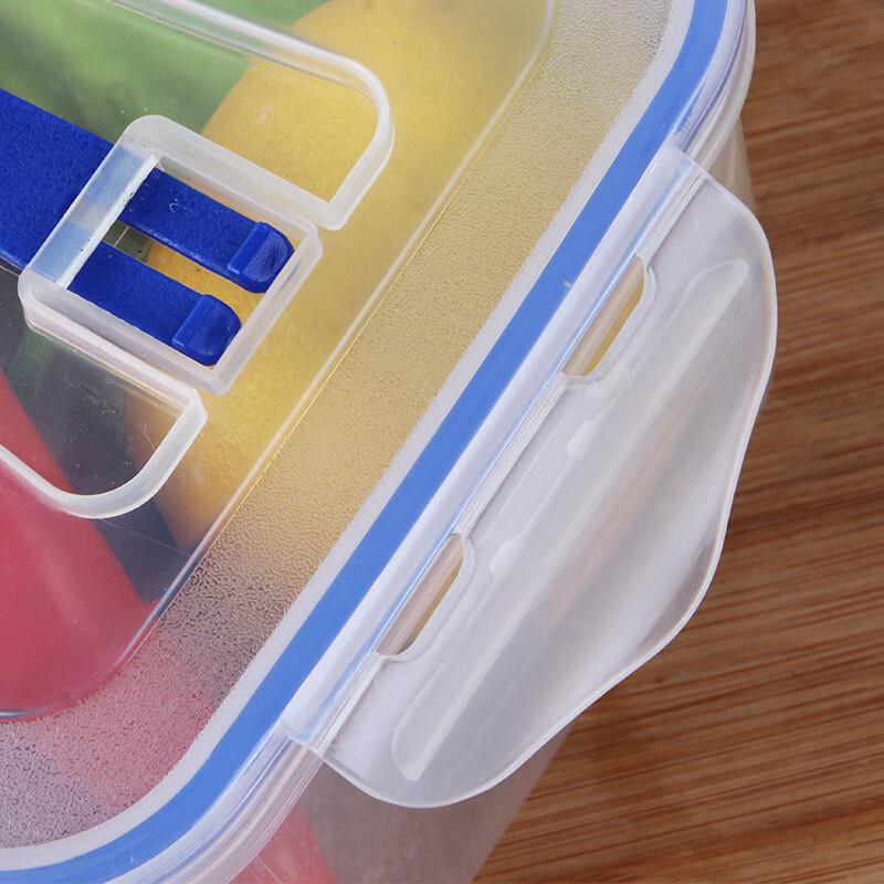 RuHan Transparent Portable Food Storage Box