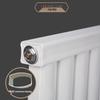Dandi Steel Radiator