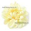 Dahlia Wedding Decoration, DIY Handmade Flowers for Walls, Hats, and Clothing Accessories