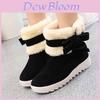 Women's Winter Warm Fur Lined Snow Boots With Cozy Faux Suede And Cute Bow Design