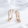 New Fashion Natural Zircon Hoop Earring For Woman  Rose Gold Color Simple Geometry Wedding High Quality Daily Jewelry