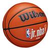 Wilson JR NBA Logo Basketball