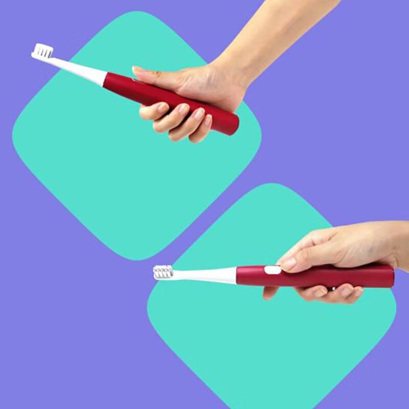 Dr. Bei Sonic Electric Toothbrush