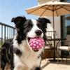 Squeaky Dog Ball Latex Textured Ball Dog Chew Toy Teeth Cleaning Toy for Large Medium Small Dogs Interactive Fetch