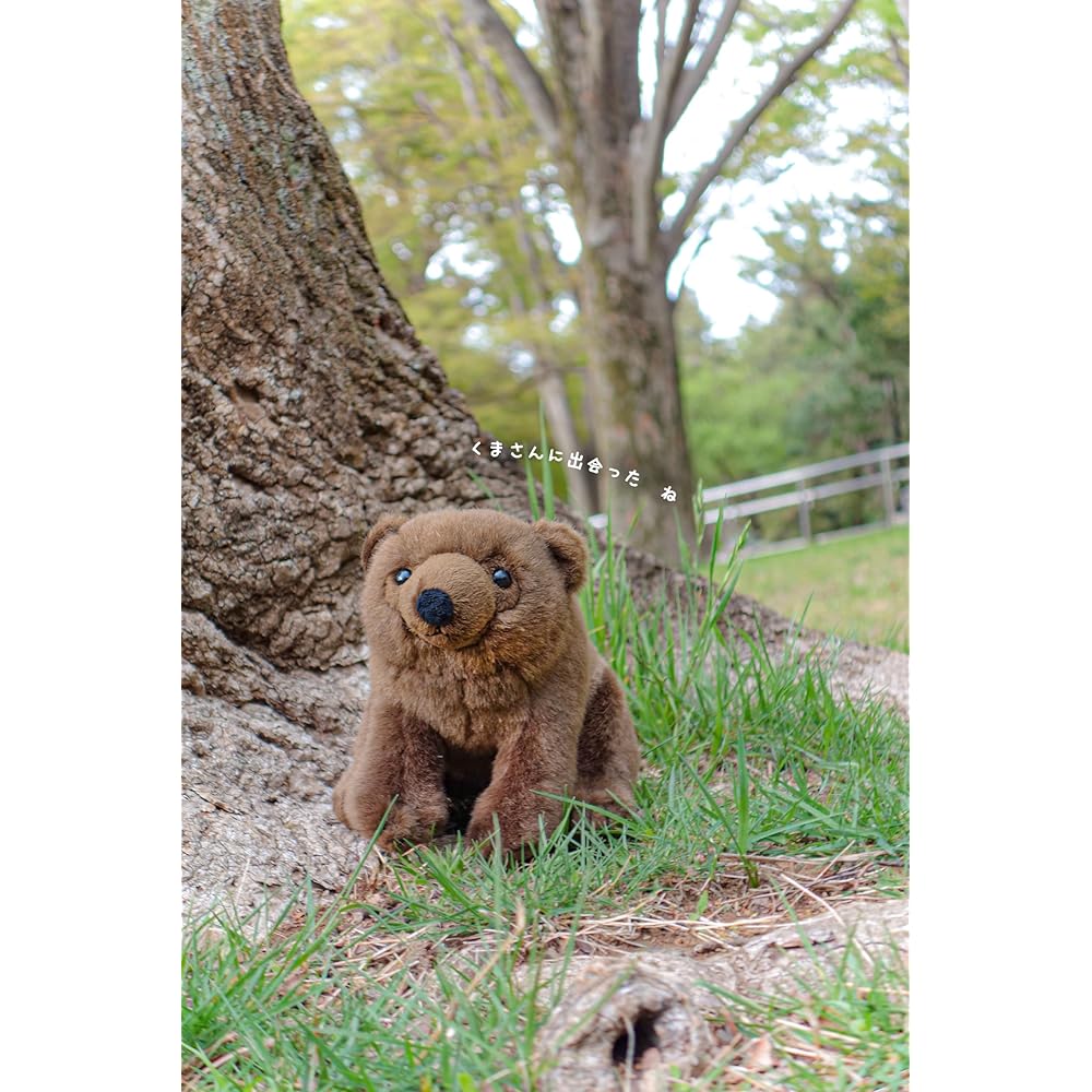 Yoshitoku Riku's Friends Brown Bear Plush Toy 30cm Soft Stuffed Animal