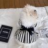 Big Bow Striped Small Dog Princess Dress Black Fashion Medium Cat Dress Thin Summer Puppy Skirt for Dog Clothes