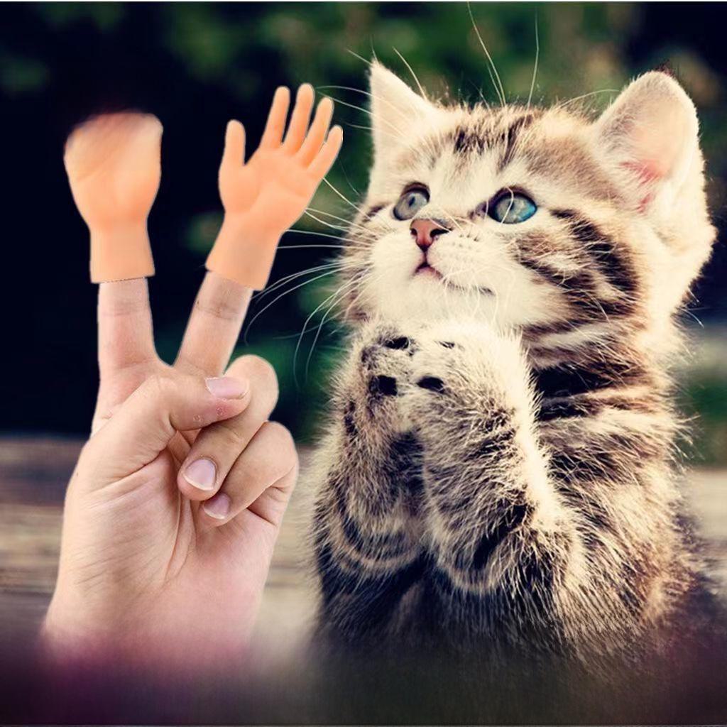 

Игрушки для кошек Douyin Style Vinyl Finger Toys - Pet Essentials Middle finger