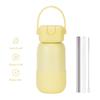 Borraccia Termica in Acciaio Inossidabile da 450/740ml con Manico, Cannuccia, Base in Silicone, Bicchieri da Bevuta Sottovuoto a Doppia Parete, Tazza Termica Sportiva