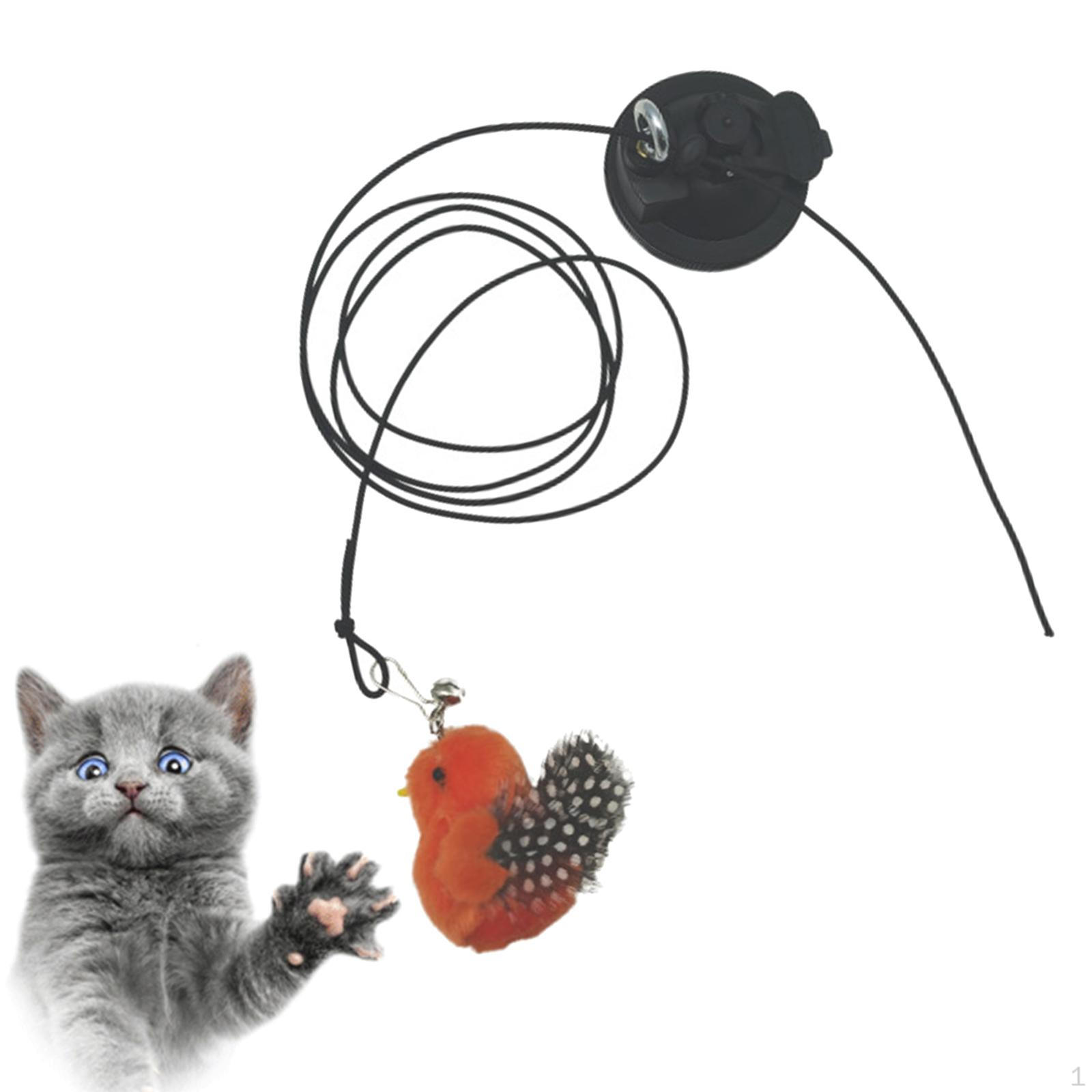 Cat Feather Toy Strong Grip for Indoor Kitty Exerce F
