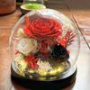 Preserved Flower Sphere: Rose & Sunflower Glass Dome Gift for Christmas & Valentine's Day