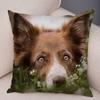 Cute Scottish Border Collie Pillowcase Dog Print  Decor Pet Animal Cushion Cover Sofa