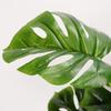 Practical Simulation Leaves Vivid Plastic Flower Reusable