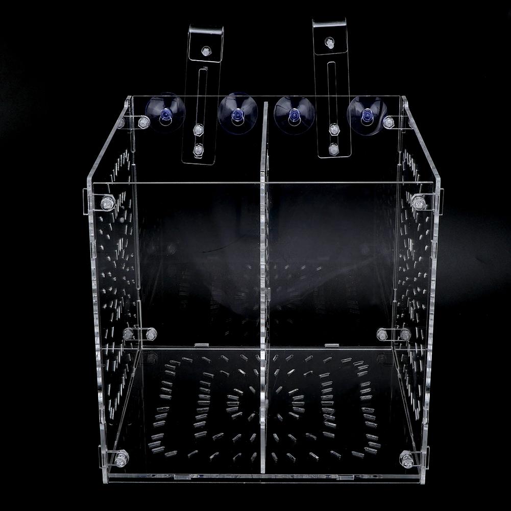 Isolamento Allevamento Piantine Incubazione Riproduzione per Acquario Acquario(20x20x20cm)