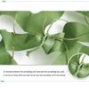 OEING Flame Retardant Camouflage Sunshade Net