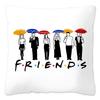 Federe Cuscino Decorazione Soggiorno Serie TV Friends   Copricuscino da Esterno per Sedia Copricuscino Decorativo Colore Sedia