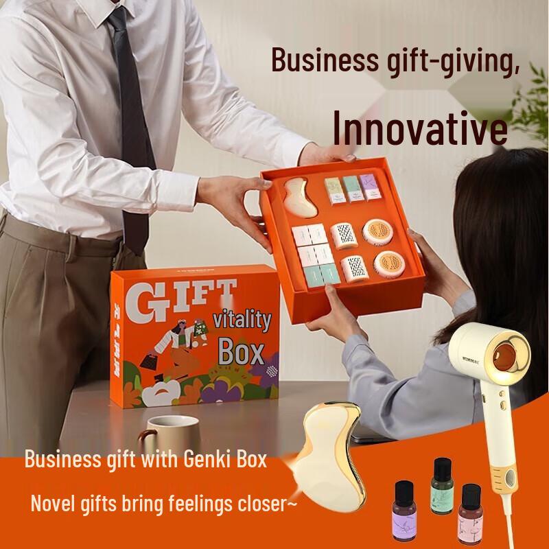 Wozheng Electric Gua Sha & Hair Dryer Gift Set