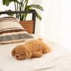 Livheart Sleepy Animals Toy Poodle Medium Size Fluffy and Squishy Plush Dog Body Gift Mocha, (Approx. 53cm), Pillow, 85450-15