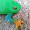 Realistic Frog Toy with Beads – Durable, Squeezable, and Perfect for Teaching Aid