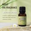 Aromahpure Fragrance Oil |30 ml|Pack of 2|Lavender,Lemongrass Aroma Oil for Home Fragrance|Best for Aromatherapy|Helps in concentration