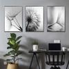 Scandinavian Flower Dandelion, Canvas, Painting, Black and White Modern Wall Painting, Posters with Printing for Home Decor, Living Room,