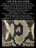 Natural Diamond Python Snakeskin Coin Purse, Horseshoe-Shaped, Box-Shaped, for Men and Women. Compact, Small, Slim, Genuine Leather, Lightweight,