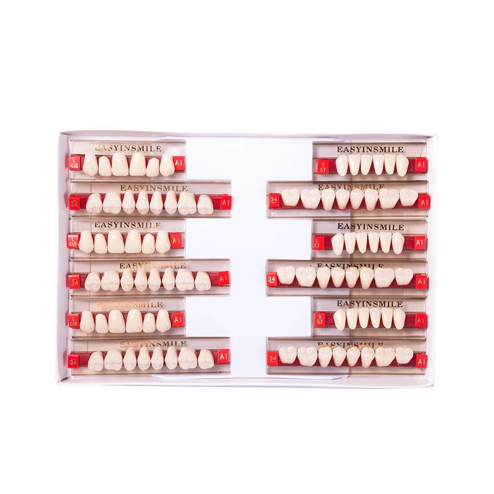 16/12 Sätze/Karton Zahnprothese Zähne Oberkiefer Frontzähne Unterkiefer Seitenzähne Dentier Synthetisches Polymerzähne Zahnmedizinische Ausbildungsmodell