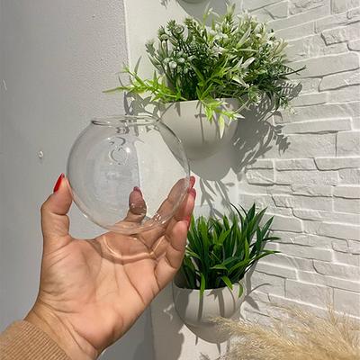 Decoração de Parede Hidropônica Semicircular Vaso de Vidro Pendurado na Parede Escritório