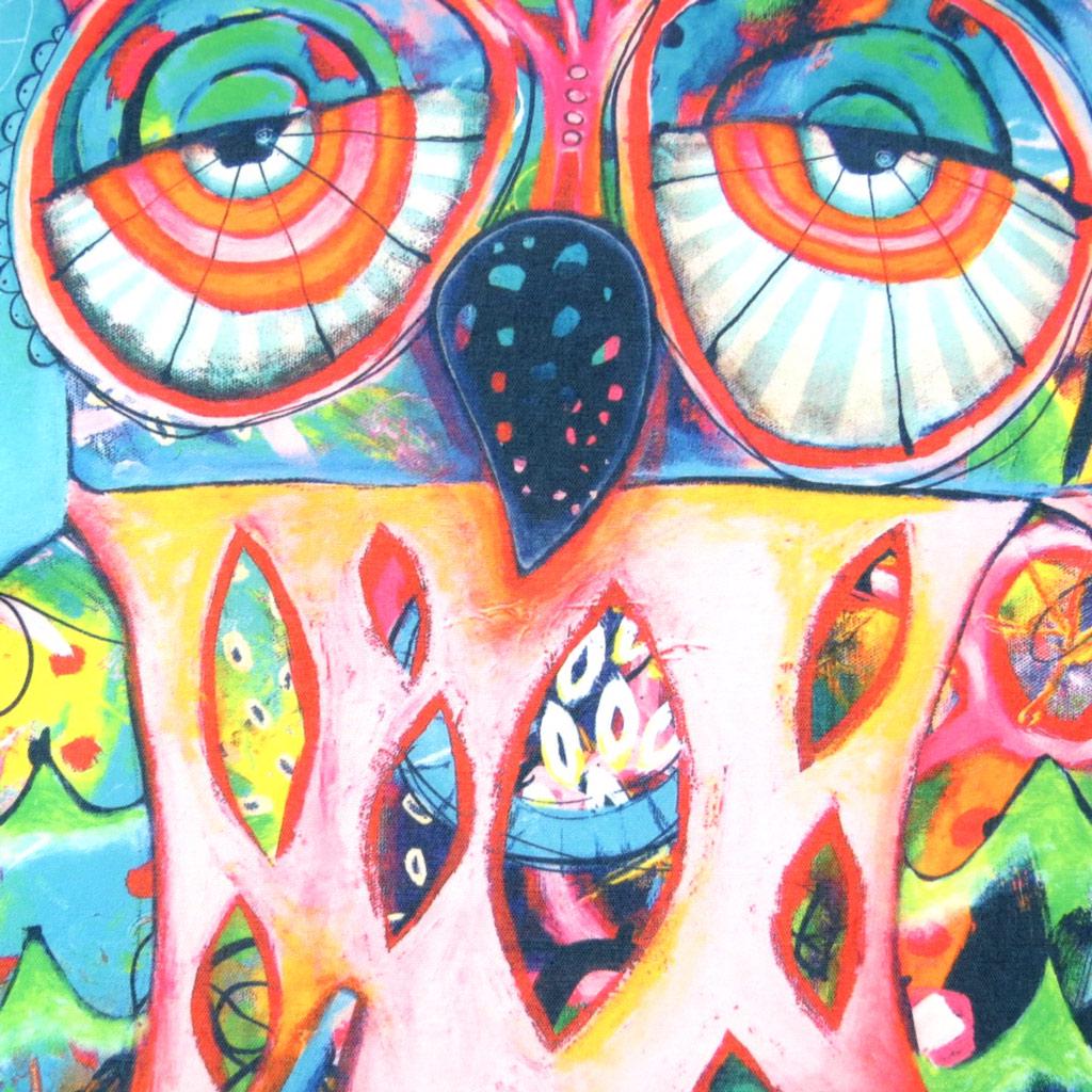 Allen Designs [P5657] - Owl Designer Cushion 'Allen Designs' - 45x45 Cm